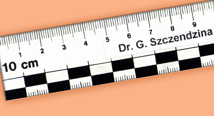 267